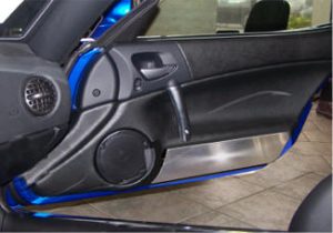 Dodge Viper SRT-10 (2003-2010)  Door Beauty Panels - Brushed Set of 2