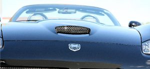 Viper SRT/10 (2003-2006) Deluxe Laser Mesh Hood Intake Grille