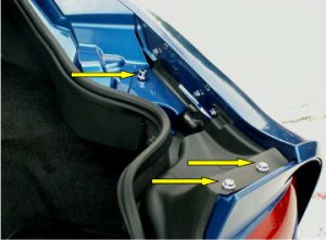 Dodge VIPER SRT-10 Coupe (2006-2010) CHROME SCREW COVER SET