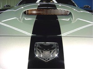 Viper SRT/10 (2003-2006) Hood Scoop Stainless Steel Perforated Grille