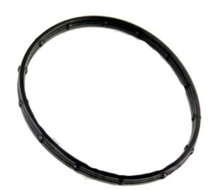 WP Gasket