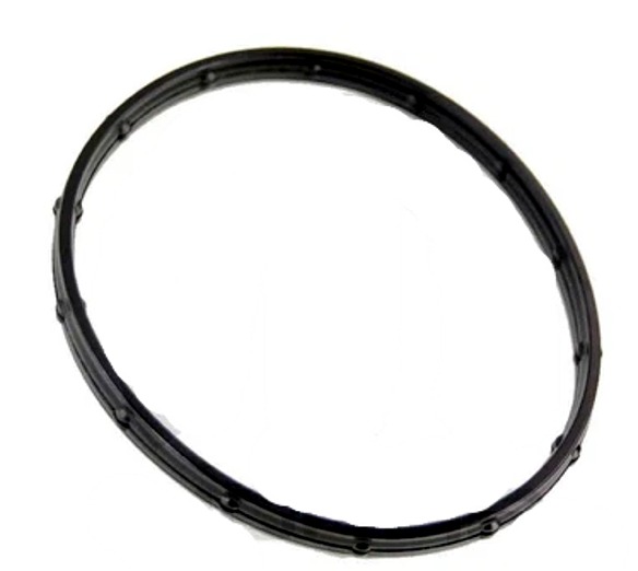 WP Gasket