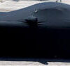 ViperCarCover257